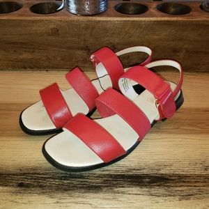 Maine Wood 8.5M Leather EUC